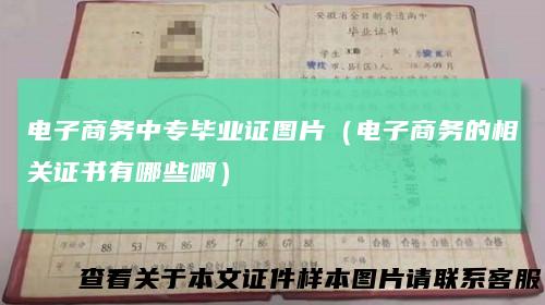 电子商务中专毕业证图片(电子商务的相关证书有哪些啊)