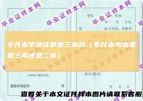 专升本毕业证都是三本吗(专升本考出来是三本还是二本)