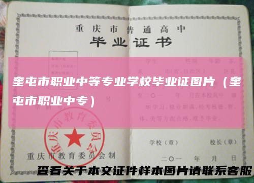奎屯市职业中等专业学校毕业证图片(奎屯市职业中专)