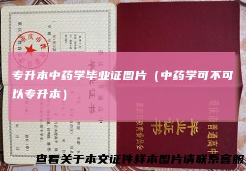 专升本中药学毕业证图片（中药学可不可以专升本）