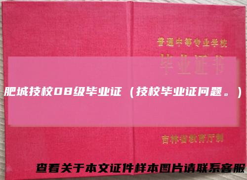 肥城技校08级毕业证（技校毕业证问题。）