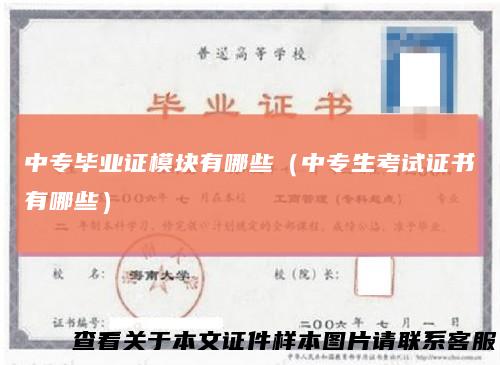 中专毕业证模块有哪些（中专生考试证书有哪些）