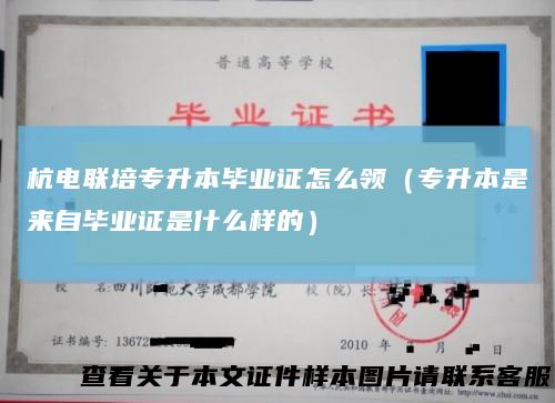 杭电联培专升本毕业证怎么领（专升本是来自毕业证是什么样的）
