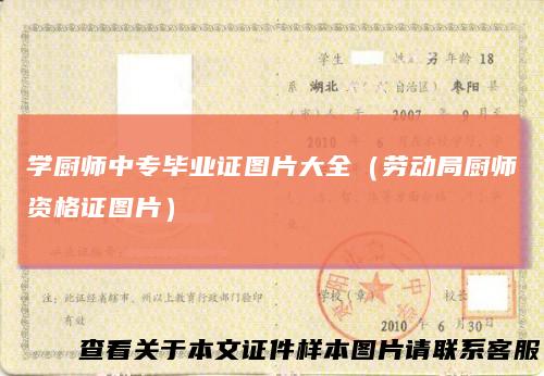 学厨师中专毕业证图片大全（劳动局厨师资格证图片）