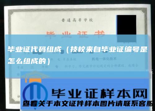 毕业证代码组成（技校来自毕业证编号是怎么组成的）