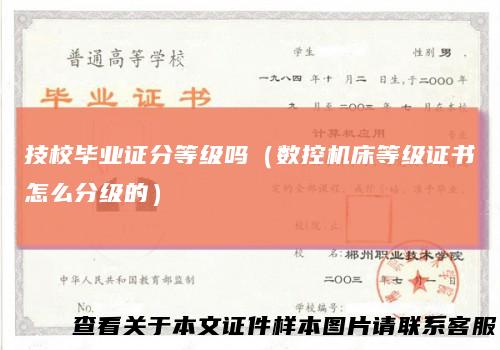 技校毕业证分等级吗（数控机床等级证书怎么分级的）