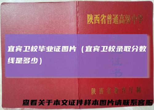 宜宾卫校毕业证图片(宜宾卫校录取分数线是多少)