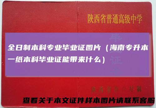 全日制本科专业毕业证图片（海南专升本一纸本科毕业证能带来什么）
