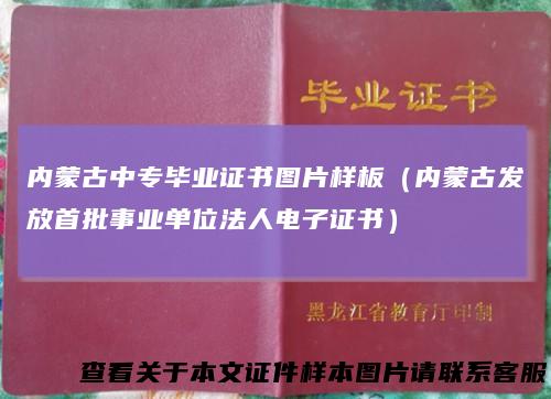 内蒙古中专毕业证书图片样板(内蒙古发放首批事业单位法人电子证书)