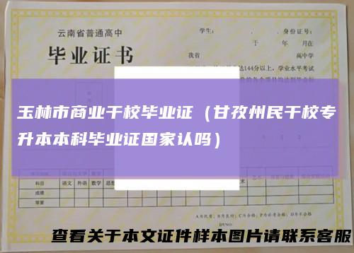 玉林市商业干校毕业证（甘孜州民干校专升本本科毕业证国家认吗）