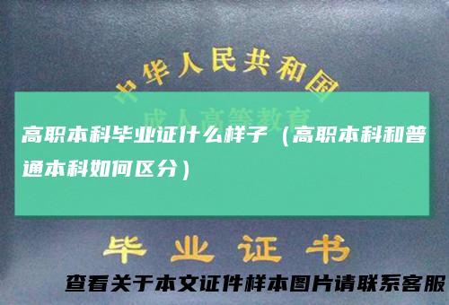 高职本科毕业证什么样子（高职本科和普通本科如何区分）