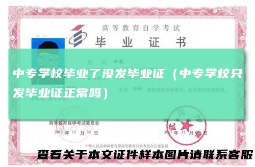 中专学校毕业了没发毕业证(中专学校只发毕业证正常吗)