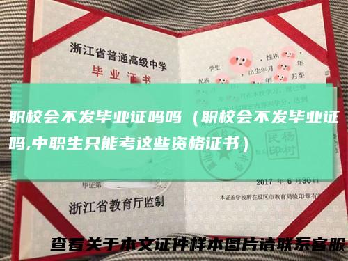 职校会不发毕业证吗吗(职校会不发毕业证吗,中职生只能考这些资格证书)