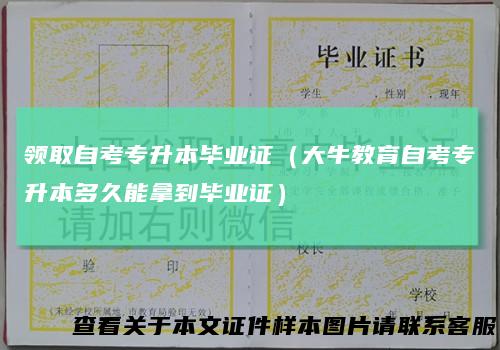 领取自考专升本毕业证（大牛教育自考专升本多久能拿到毕业证）