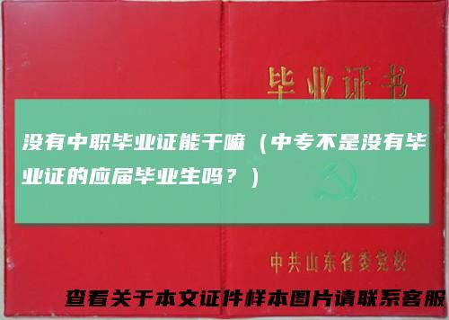 没有中职毕业证能干嘛（中专不是没有毕业证的应届毕业生吗？）