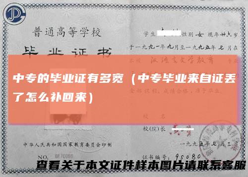中专的毕业证有多宽（中专毕业来自证丢了怎么补回来）