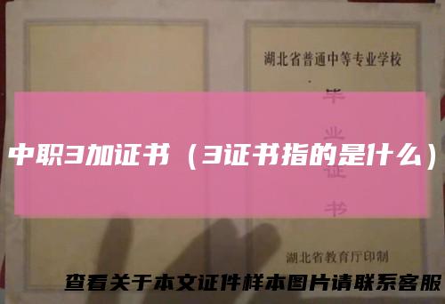 中职3加证书(3证书指的是什么)