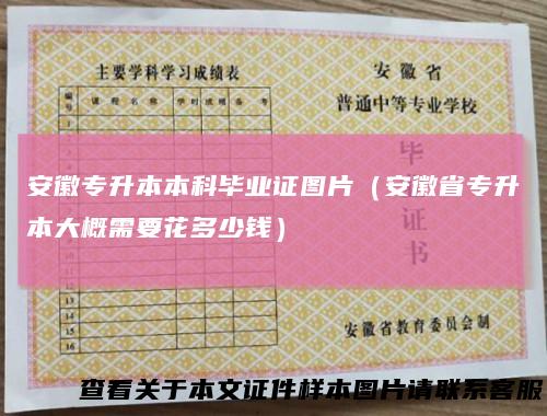 安徽专升本本科毕业证图片(安徽省专升本大概需要花多少钱)