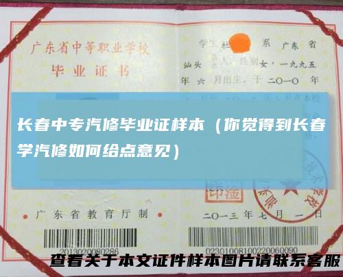 长春中专汽修毕业证样本(你觉得到长春学汽修如何给点意见)
