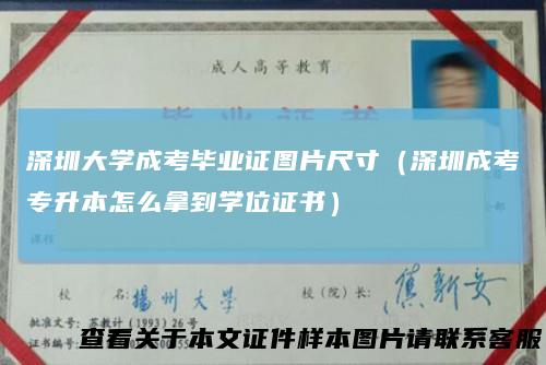 深圳大学成考毕业证图片尺寸(深圳成考专升本怎么拿到学位证书)