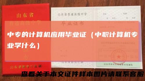 中专的计算机应用毕业证(中职计算机专业学什么)