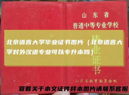 北京语言大学毕业证书图片（北京语言大学对外汉语专业可以专升本吗）