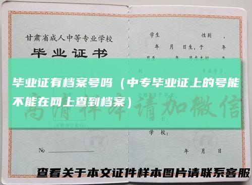 毕业证有档案号吗（中专毕业证上的号能不能在网上查到档案）