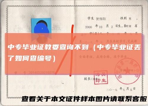 中专毕业证教委查询不到(中专毕业证丢了如何查编号)
