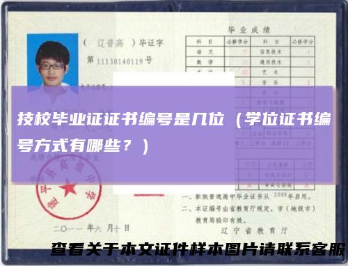 技校毕业证证书编号是几位(学位证书编号方式有哪些?)