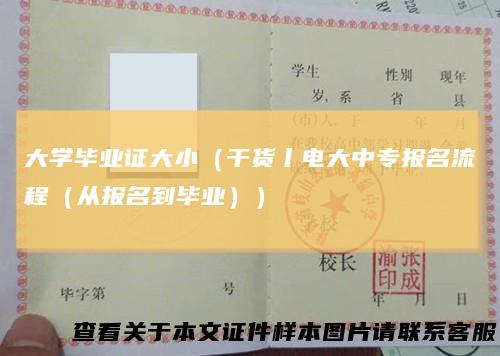 大学毕业证大小(干货丨电大中专报名流程(从报名到毕业))