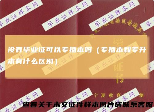 没有毕业证可以专插本吗（专插本和专升本有什么区别）