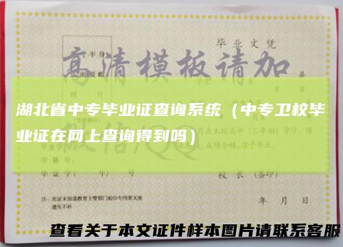 湖北省中专毕业证查询系统（中专卫校毕业证在网上查询得到吗）