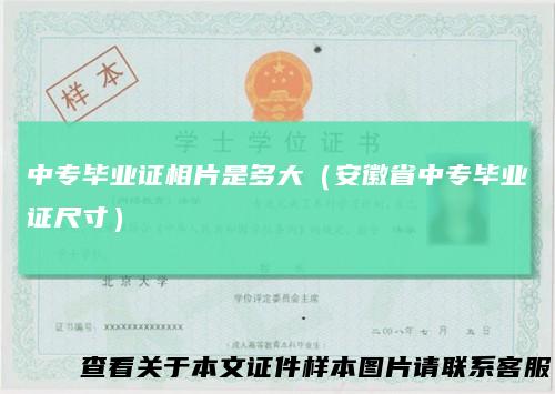 中专毕业证相片是多大（安徽省中专毕业证尺寸）