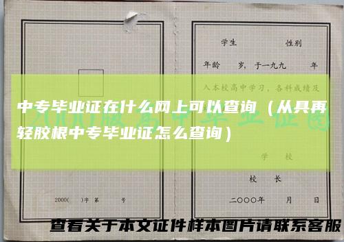中专毕业证在什么网上可以查询（从具再轻胶根中专毕业证怎么查询）