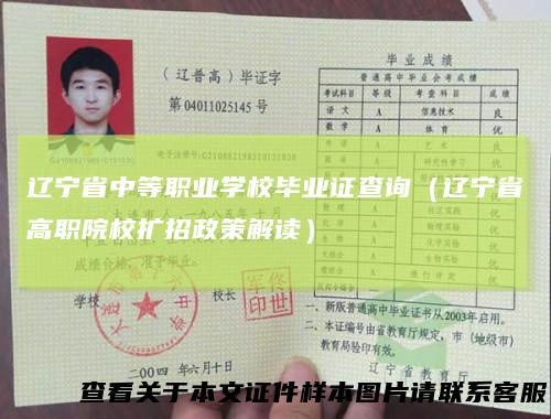 辽宁省中等职业学校毕业证查询（辽宁省高职院校扩招政策解读）