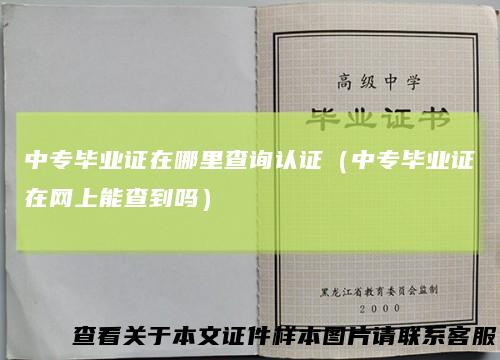 中专毕业证在哪里查询认证(中专毕业证在网上能查到吗)