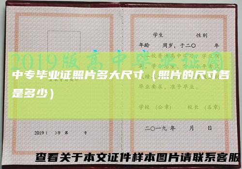 中专毕业证照片多大尺寸（照片的尺寸各是多少）