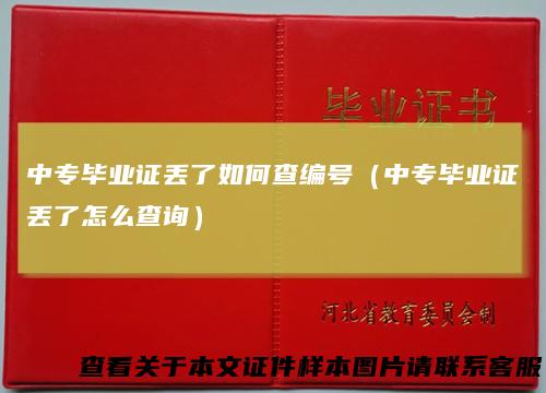中专毕业证丢了如何查编号（中专毕业证丢了怎么查询）