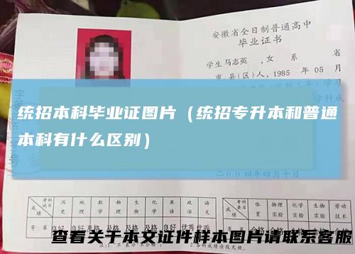 统招本科毕业证图片(统招专升本和普通本科有什么区别)