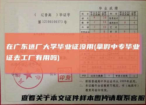 在广东进厂大学毕业证没用(拿假中专毕业证去工厂有用吗)