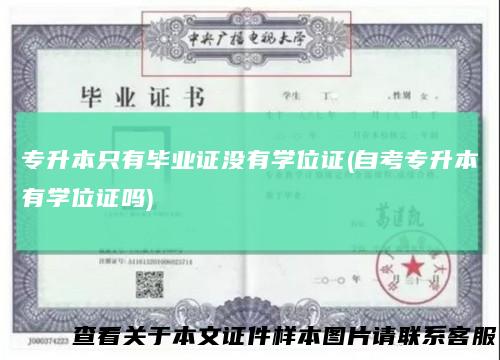 专升本只有毕业证没有学位证(自考专升本有学位证吗)