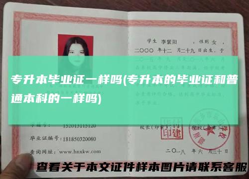 专升本毕业证一样吗(专升本的毕业证和普通本科的一样吗)