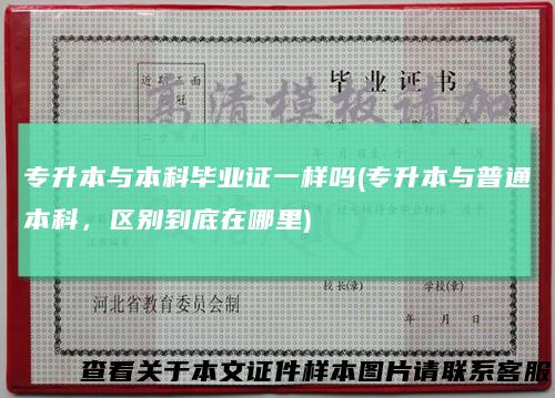 专升本与本科毕业证一样吗(专升本与普通本科,区别到底在哪里)
