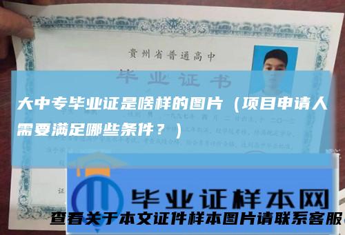 大中专毕业证是啥样的图片(项目申请人需要满足哪些条件?)