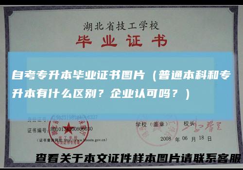 自考专升本毕业证书图片(普通本科和专升本有什么区别?企业认可吗?)