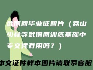 武僧团毕业证图片(嵩山少林寺武僧团训练基础中专文凭有用吗?)