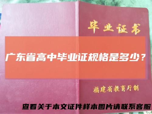 广东省高中毕业证规格是多少?