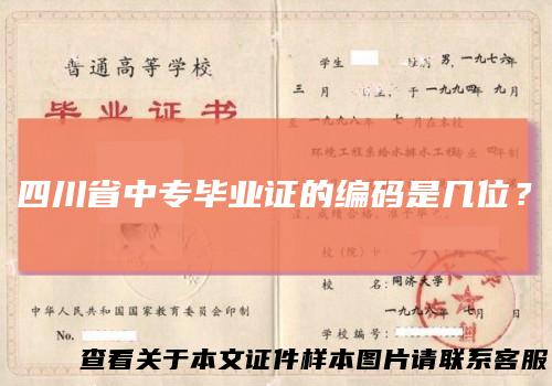 四川省中专毕业证的编码是几位?