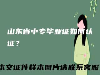 山东省中专毕业证如何认证?