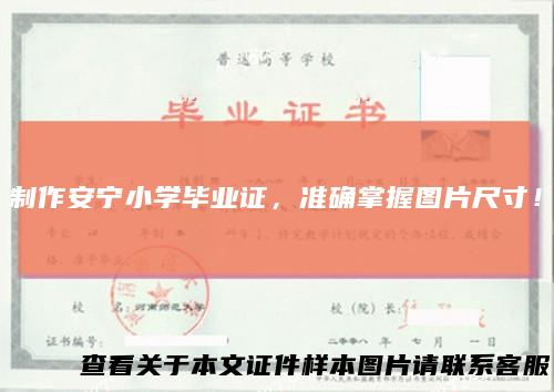 制作安宁小学毕业证，准确掌握图片尺寸！